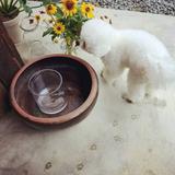 慕容广场头像