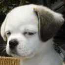 Sidewinder的个人资料头像