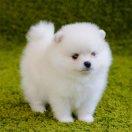 迪迦不是奥特曼的个人资料头像