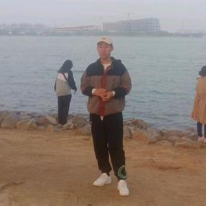 禾之苗头像