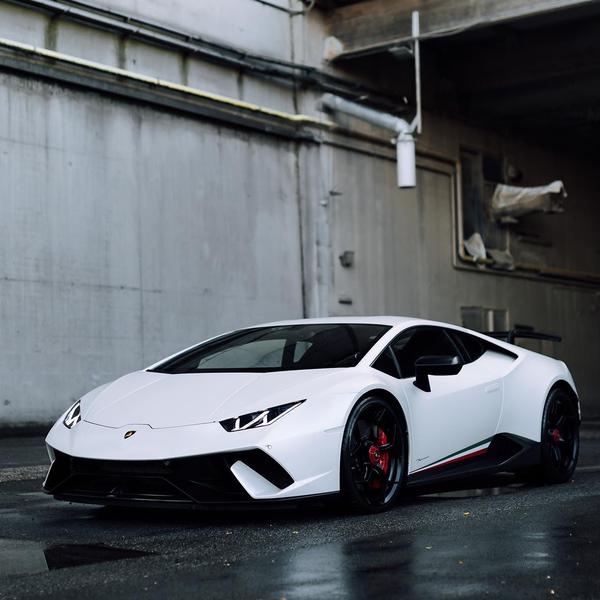 奔赴旅行的溜溜头像