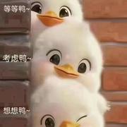 努力飞鸭的个人资料头像
