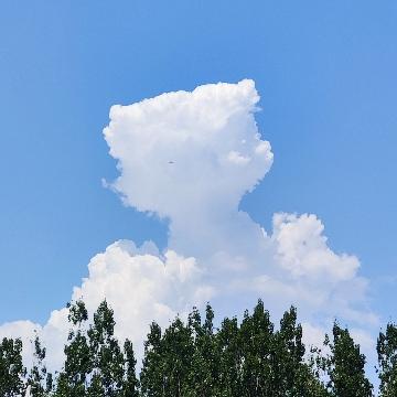 大阳技术汇头像