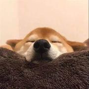 xaw的个人资料头像