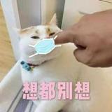 用户1341614422611头像