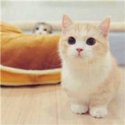 洛阳丶的个人资料头像