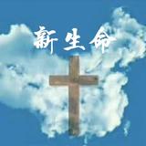 用户9762698874169头像