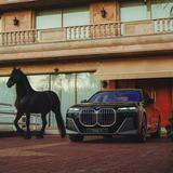 青岛宝马首席执行官头像