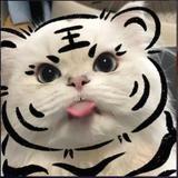 Trevor515头像
