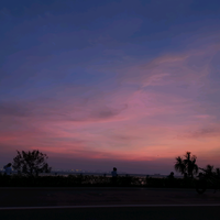 西红柿炒番茄9601头像