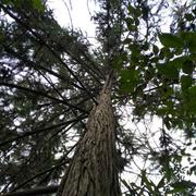 陈寄文的个人资料头像