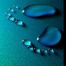 你若盛开清风自来49189的个人资料头像