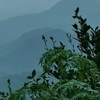 飘神陪你开心头像