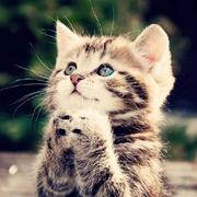 JackeyMarine的个人资料头像