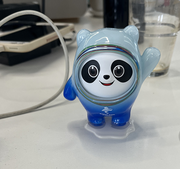 奇奇国王的个人资料头像