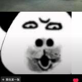 清爽叶子yn7头像