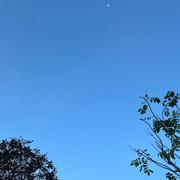 nemo248的个人资料头像