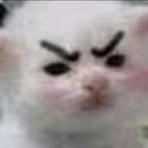 小叶是八嘎头像