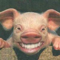 动漫电影院1g9p头像