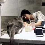 蘑菇92781头像