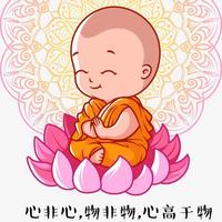 勇往直前的稳得福wonderful头像