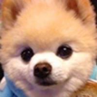 聪明的西柚Ryx头像