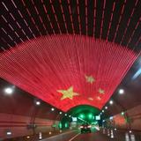 桦尔多头像