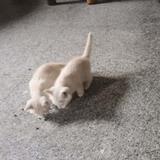 一亿77头像