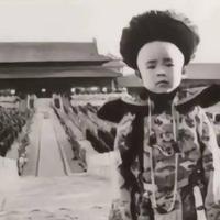 社会神鹰哥466头像