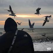 Alwayshappy的个人资料头像