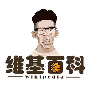 篮球维基百科头像
