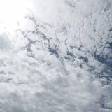 用户3900856027183头像