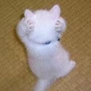 James429的个人资料头像