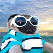 ARMOR9999的个人资料头像