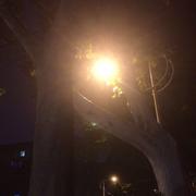 pure852的个人资料头像