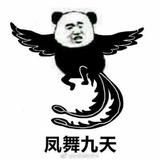 零零柒熊大头像