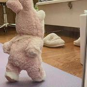 小金鱼600的个人资料头像