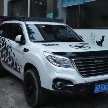 团爸旅行记头像