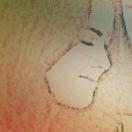 yaya的个人资料头像