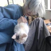 yissacyx的个人资料头像