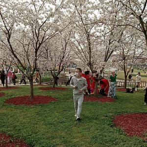 啊呦喂魏国头像