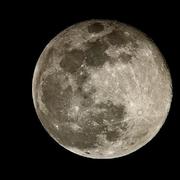 gonker的个人资料头像