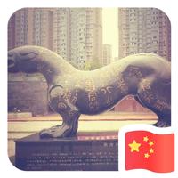 东宝743头像
