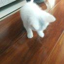 yuanzi的个人资料头像