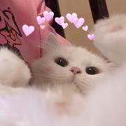 西瓜甜甜的个人资料头像