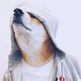 灼灼其华※头像