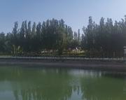 Pk4的个人资料头像