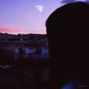 不会写代码的梓的个人资料头像