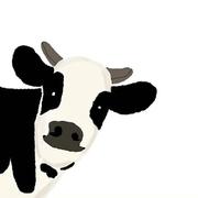 用户4563369296832的个人资料头像