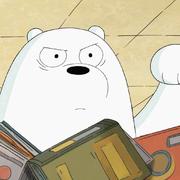 晓风223的个人资料头像